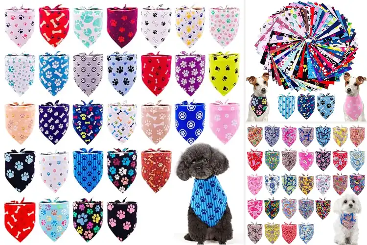 Detailed view of Best Small Dog Bandanas: Top 10 Stylish & Comfortable Picks