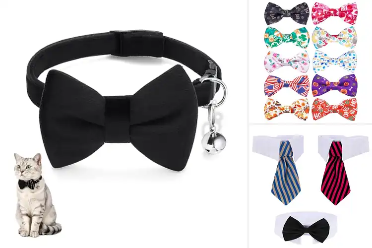 Detailed view of Best Small Dog Cat Bow Ties