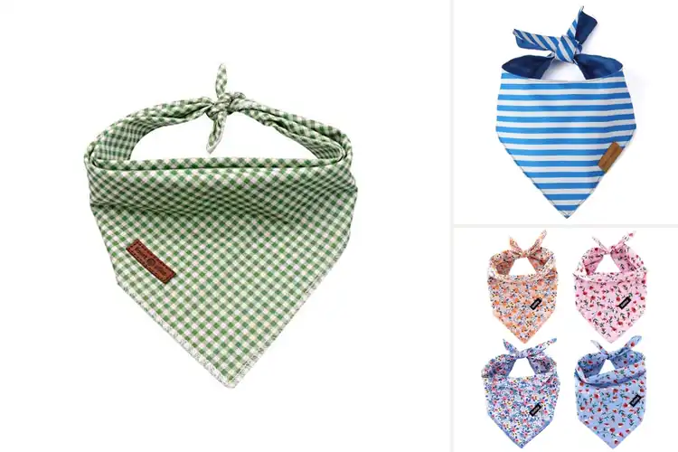 Detailed view of Best Small/Medium Bandana For Dogs