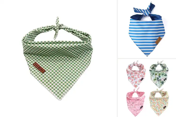 Detailed view of Best Small Medium Dog Bandana Size