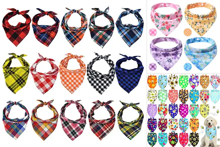 Detailed view of Best Small Medium Pet Bandanas: Top 10 Stylish & Durable