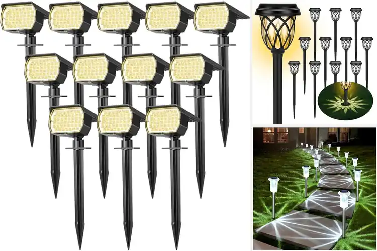 Detailed view of Best Solar Landscape Lights