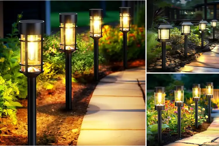 Detailed view of Best Solar Path Lights