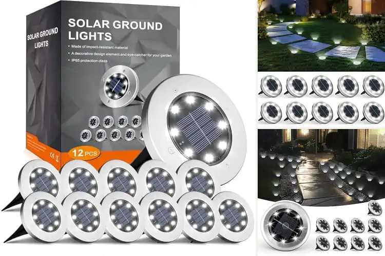 Detailed view of Best Solar Pathway Lights For Driveways