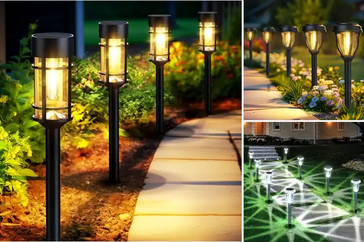 Detailed view of Best Solar Pathway Lights