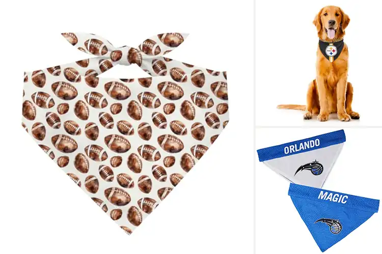 Detailed view of Best Tailgate Pet Bandanas