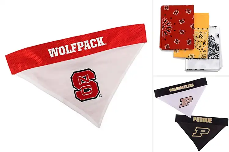 Detailed view of Best Tailgating Bandana