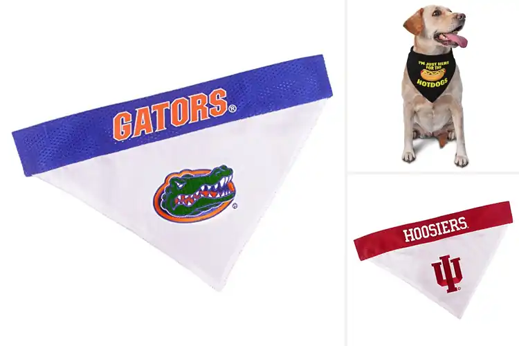 Detailed view of Best Tailgating Party Pet Bandana