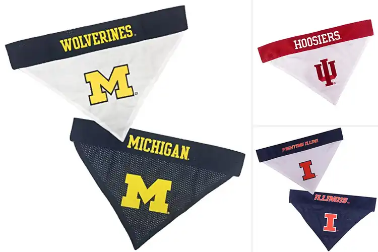 Detailed view of Best Tailgating Pet Accessory Bandana