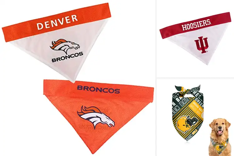 Detailed view of Best Tailgating Pet Accessory