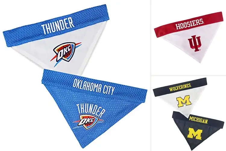 Detailed view of Best Tailgating Pet Bandanas