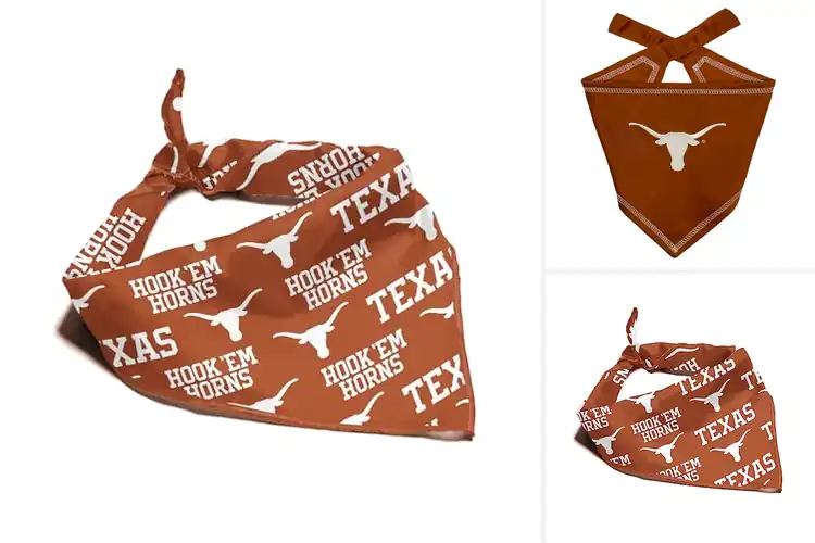Detailed view of Best Texas Longhorns Bandana