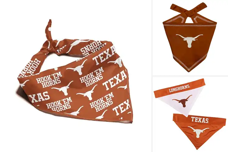 Detailed view of Best Texas Longhorns Dog Bandana