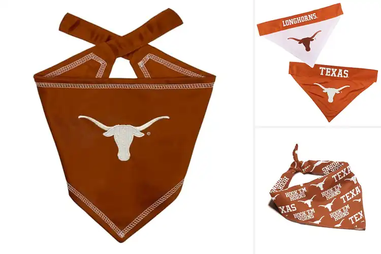 Detailed view of Best Texas Longhorns NCAA Bandana