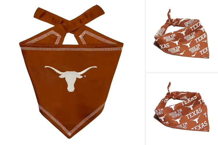 Detailed view of Best Texas Longhorns Pet Bandana