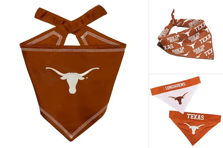 Detailed view of Best Texas Longhorns Team Logo Bandana
