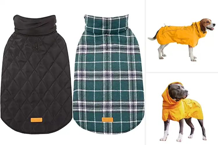 Detailed view of Best Waterproof Dog Coats: Top 10 Picks for Warmth & Style