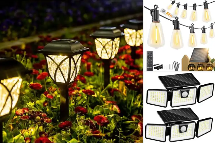 Detailed view of Best Weatherproof Solar Lights