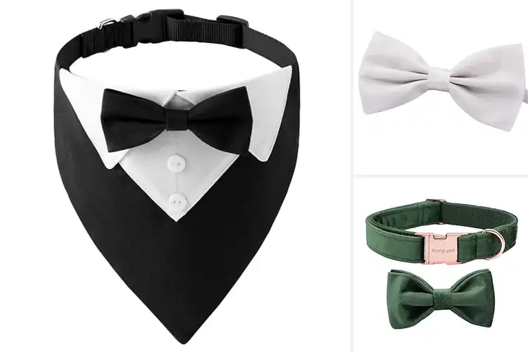 Detailed view of Best Wedding Bow Ties For Pets