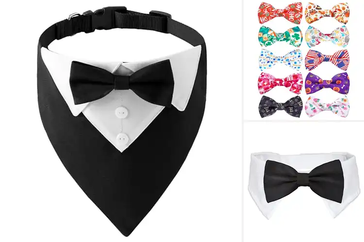 Detailed view of Best Wedding Pet Bow Ties